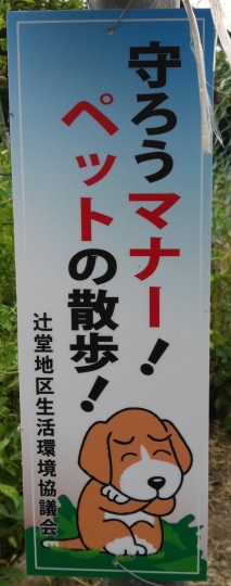 Funny japanese street signs dog 38