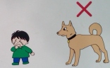 Funny japanese street signs dog 53