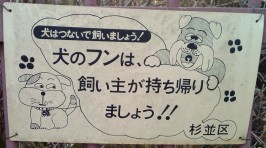 Japan sign - dog tonsils