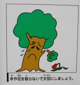 Do not harm trees or flowers 1