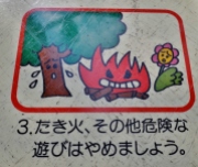 No fire - watch out for trees