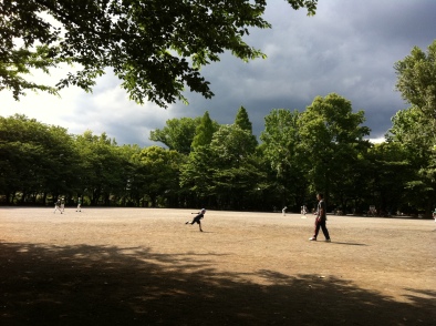 Rinshinomori Park family baseball