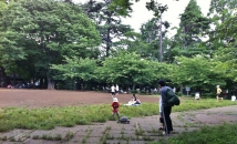 Rinshinomori Park family turtle
